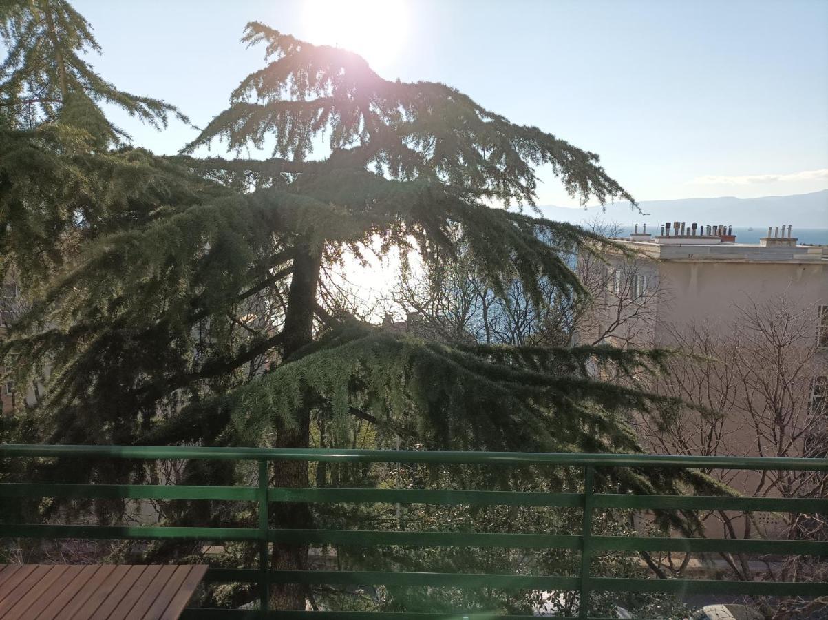Apartman Pecine غييكا المظهر الخارجي الصورة